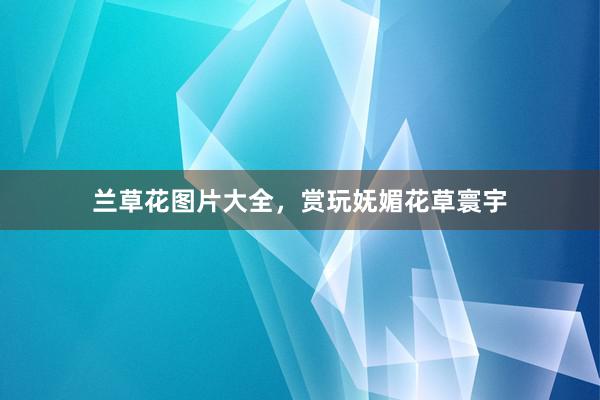 兰草花图片大全，赏玩妩媚花草寰宇