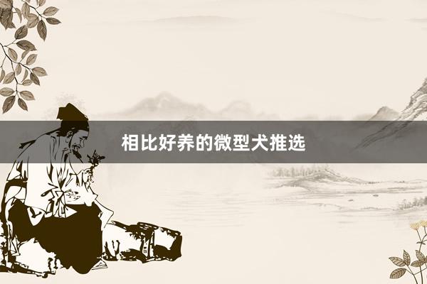 相比好养的微型犬推选